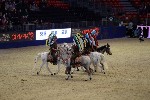 Quadrille - 00184